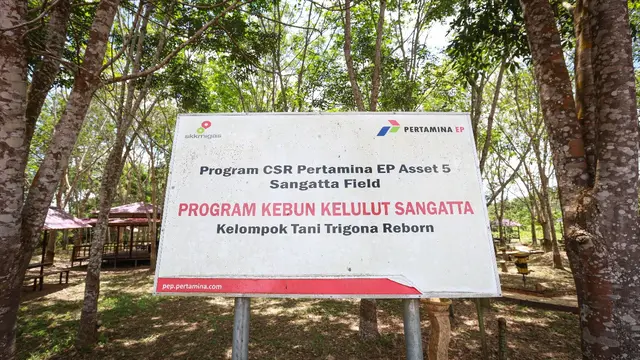 PT Pertamina EP (PEP) Sangatta Field bersama Kelompok Tani Hutan Trigona Reborn mengoptimalkan budidaya lebah kelulut sekaligus mendukung pengembangan pariwisata edukatif di area konservasi. (Dok Pertamina)