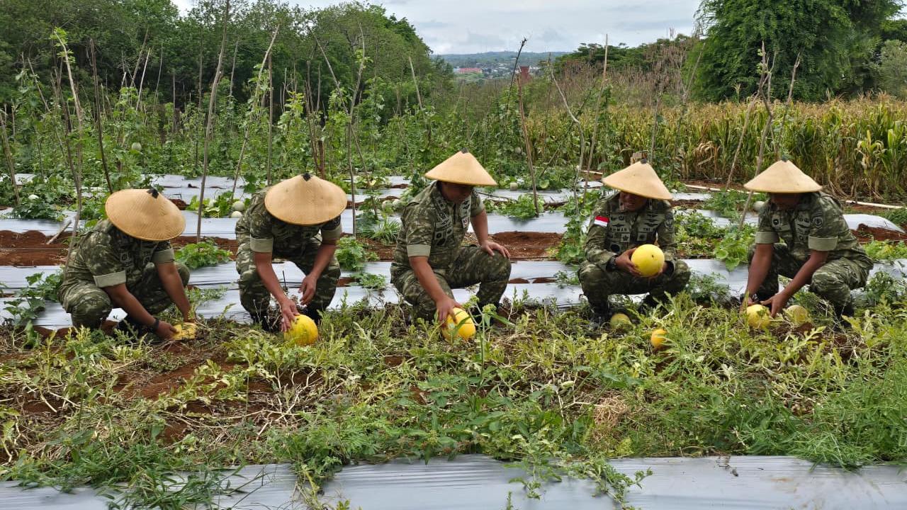 TNI AU
