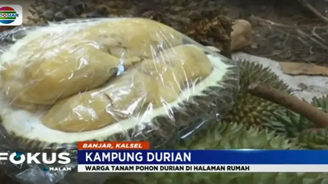 Durian asal Desa Bi'ih jenisnya beragam, salah satu yang terkenal adalah durian jenis panyangat karena pernah menyabet juara dua kontes