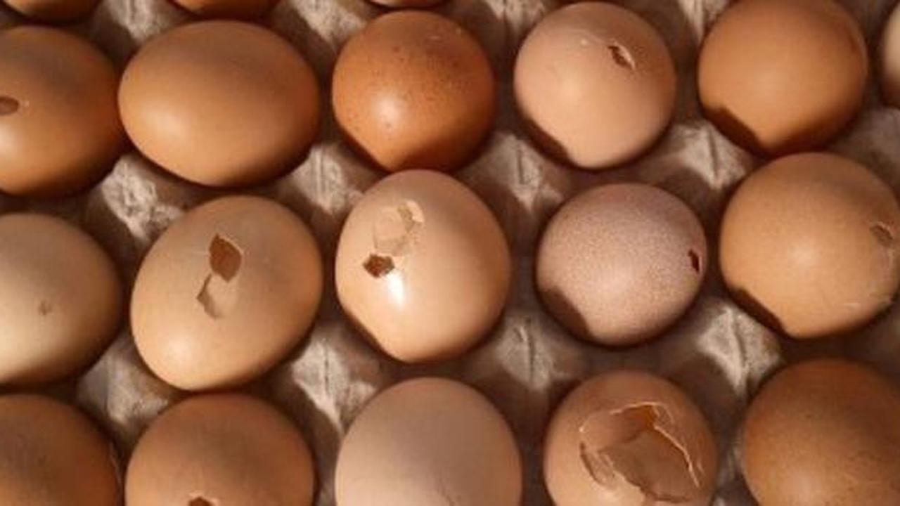 Berapa Menit Merebus Telur Agar Salmonella Mati? Hati-Hati kalau Masih Setengah Matang
