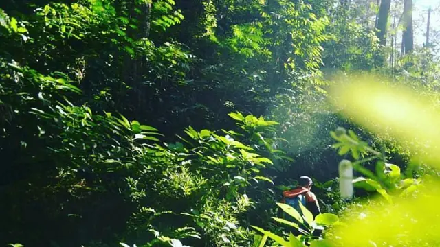 Pendaki di Gunung Buyung
