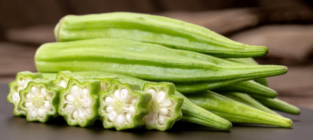 Ilustrasi Okra