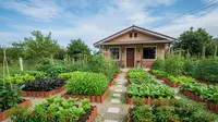 7 Inspirasi Desain Rumah Agar Bisa Tanam Sayur di Lahan Sempit, Wujudkan Kebun Produktif