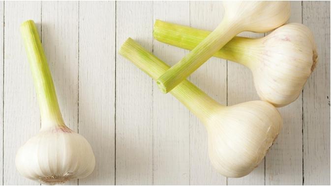 Bawang Putih Bumbu Dapur Pembasmi Cacing Perut Pada Anak Parenting Fimela Com