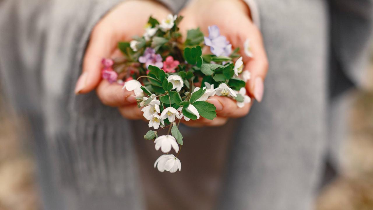 hikmah di balik musibah