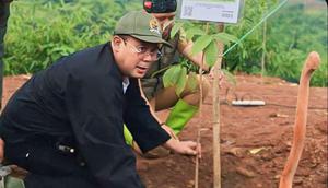 Wakil Ketua DPR RI, Cucun Ahmad Syamsurijal, menyerahkan 3.000 bibit pohon alpukat dan mahoni di Pondok Pesantren Darussa’adah, Gunung Manik, Kecamatan Pacet, Kabupaten Bandung, Selasa (23/12/2025) (Istimewa)