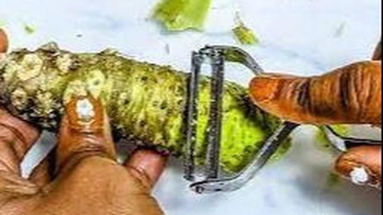 1. Membantu Mencegah Obesitas