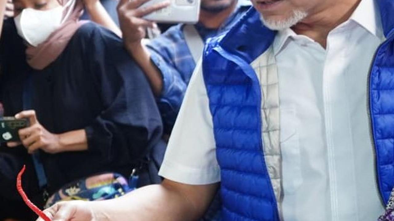 Mendag Zulhas Minta Harga Cabai Jangan Terlalu Murah: Nanti Petani Rugi
