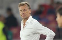 Pandit Sepak Bola Arab Saudi: Pelatih Herve Renard Remehkan Timnas Indonesia