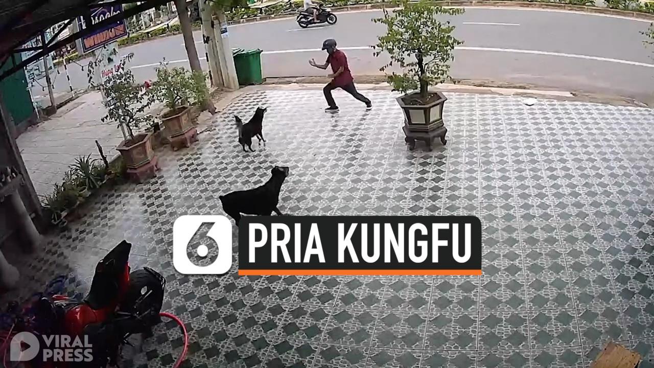 VIDEO: Agar Tak Diserang, Pria Hadapi Anjing Pakai Kungfu