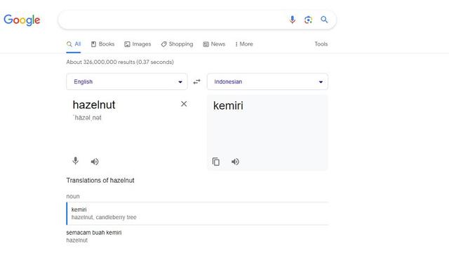 Google Translate hazelnut