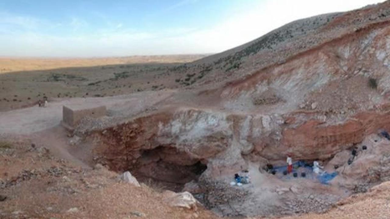 Selain usia fosil, peneliti juga menyatakan ciri dari Homo sapiens awal yang ditemukan di situs itu hal yang penting. 

Mereka menulis dalam sebuah makalah bahwa morfologi wajah, rahang bawah, dan gigi fosil di Jebel Irhoud selaras dengan manusia modern