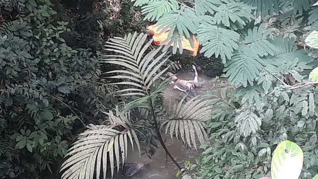Mayat ditemukan di sungai