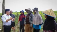 Gus Muhaimin saat menghadiri rembuk petani karet dan cabe di Desa Margo Kencono, Tulang Bawang Barat, Lampung, Kamis, 13 Oktober 2022.