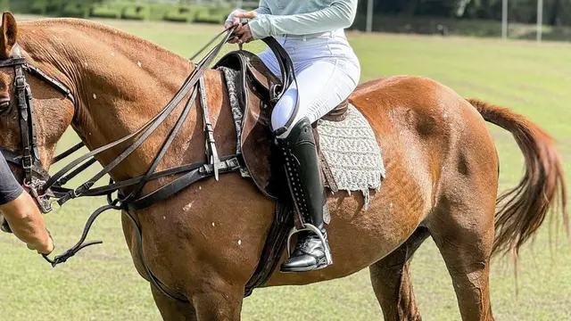 Nikita Mirzani saat berkuda, sumber Instagram: @nikitamirzanimawardi_172