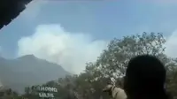 Kebakaran hutan di Blok Tegal Alun, Pondok Saladah dan Tegal Puncak, membahayakan wisatawan.