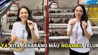 6 Potret Kandang Ayam di Rumah Jevier Justin dan Tiffany Orie, Bahagia saat Panen Telur