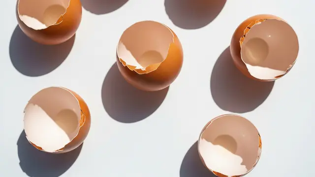 Mengapa Cangkang Telur Baik untuk Media SemaiJangan Buang Cangkang Telur, Ini Cara Ubah Jadi Pestisida Alami