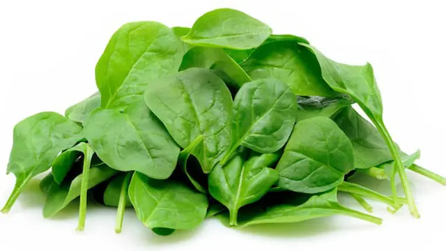 Makanan Sehat Untuk Diet Mayo