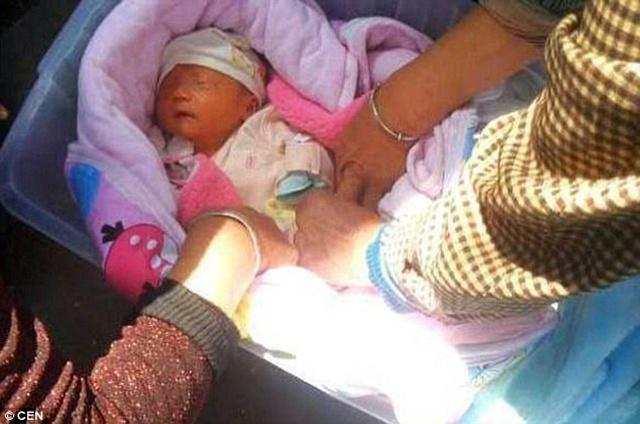 Bayi yang dibuang orang tuanya | Photo: Copyright dailymail.co.uk