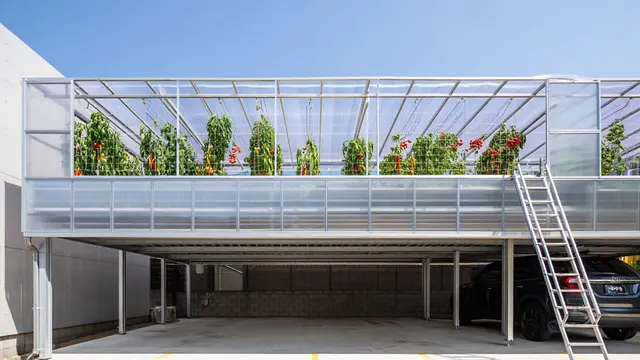 Desain Rumah Mungil Tapi Bisa Punya Mini Greenhouse di Samping