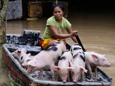Evangeline Garcia mengayuh perahu memuat anak babi ke tempat aman di Kota Quezon, Metropolitan Manila, Filipina, Jumat (20/7). Banjir diakibatkan hujan musim angin barat daya yang dibawa oleh badai tropis. (AP Phoyo/Aaron Favila)