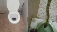 6 Momen Apes saat di Kamar Mandi Ini Bikin Ngelus Dada