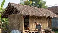 8 Bahan Alami untuk Menghilangkan Bau Kandang Ayam, Solusi Efektif dan Ramah Lingkungan