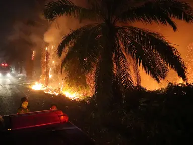 Truk pemadam kebakaran diparkir di dekat api yang membakar lahan gambut di Sampit, Kalimantan Tengah, Indonesia, Senin, 24 Agustus 2026. (AP Photo/Andri Rizky Agustian)