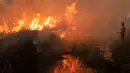 Pemilik perkebunan cabai khawatir kebakaran lahan gambut akan merambat ke lahan miliknya di Ogan Ilir, Sumatra Selatan. Foto diambil pada tanggal 2 Oktober 2023. (Al ZULKIFLI/AFP)