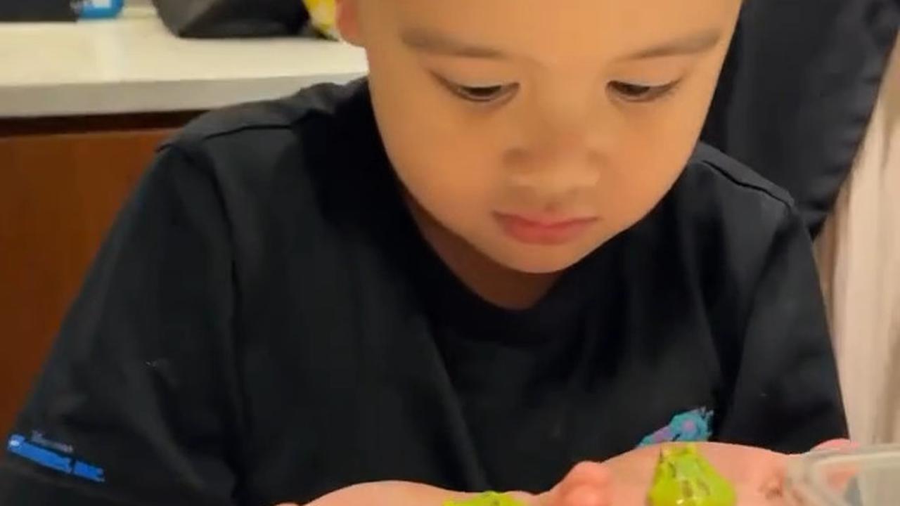Kumpulan Hewan Peliharaan Athar Anak Citra Kirana dan Rezky Aditya, Ada Katak sampai Iguana