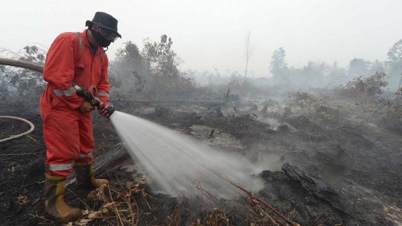 Ini lahan di Riau yang diduga sengaja dibakar