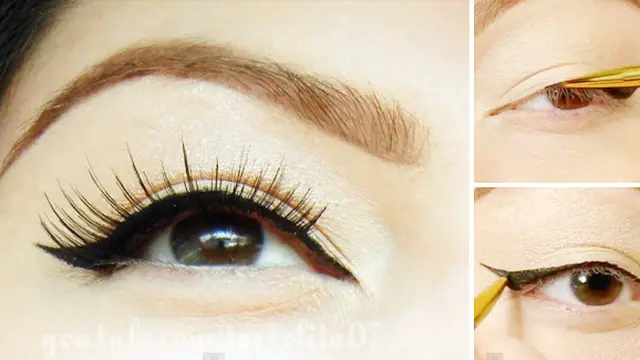 Courtesy tortolita07/youtube.com