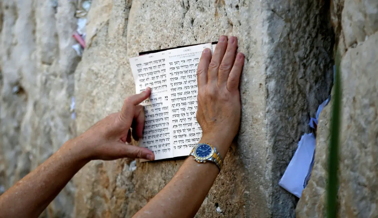 Seorang umat Yahudi memegang naskah agama di tembok ratapan saat mengikuti doa massal selama liburan Sukkot di Yerusalem, (19/10). (REUTERS/Baz Ratner)