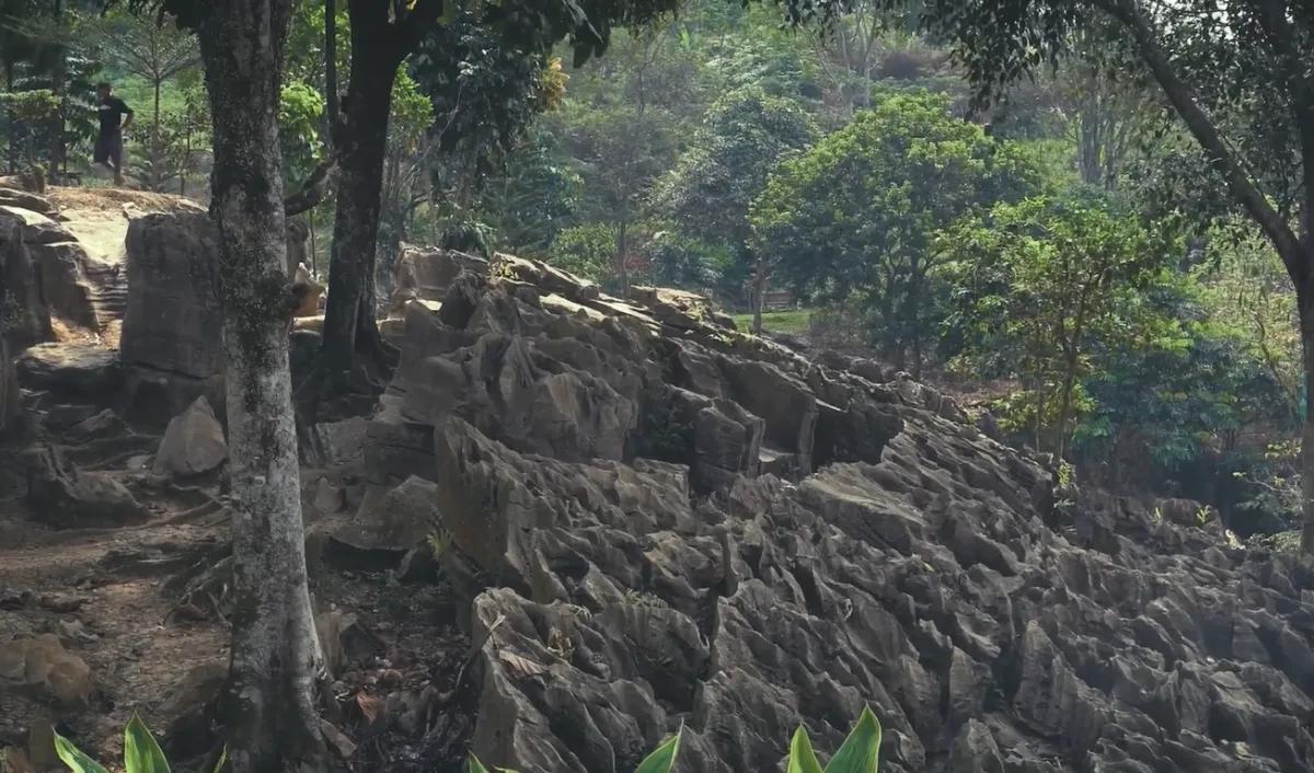 Ditemukan tidak sengaja oleh petani
