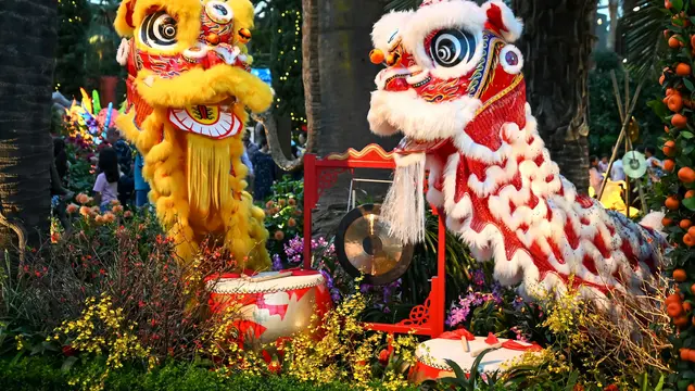 Lunar New Year