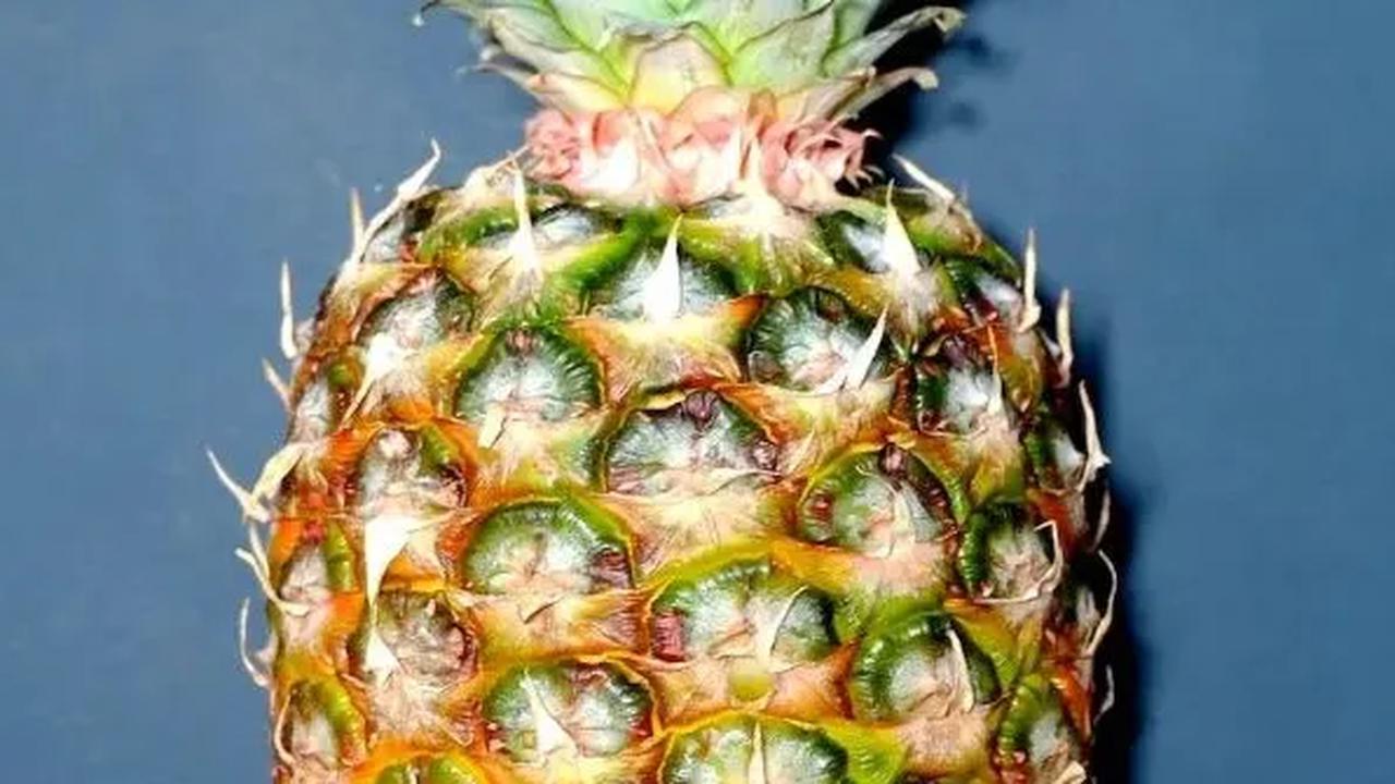 Tak Lagi Sebabkan Penyakit, Limbah Nanas Kini Bisa Diubah Jadi Kain dan Produk Eco-Fashion