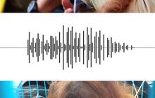 Coba Dengarkan Suara Orang Utan Jika Terlibat Perselisihan, Mirip Bunyi Apa?
