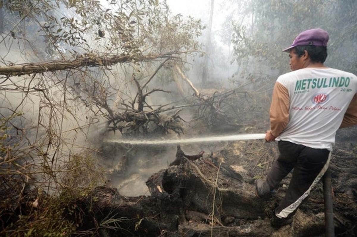 Kisah pekerja kebun kelapa sawit berjibaku padamkan kebakaran hutan