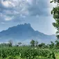 Gunung Ringgit juga dikenal dengan nama Gunung Putri Tidur, karena bentuknya jika dilihat dari jauh seperti wajah seorang putri yang sedang tertidur. (Dok: Gunung Bagging)