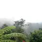 Lereng Gunung Slamet, rumah bagi ribuan jenis burung endemik Indonesia. (Foto: Liputan6.com/Muhamad Ridlo).