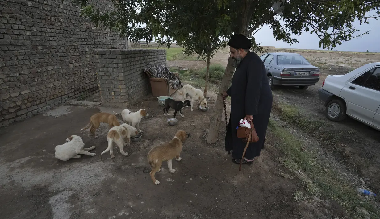 Kaum ulama Iran, yang telah memerintah negara ini sejak Revolusi Islam 1979, menyatakan bahwa anjing adalah hewan yang "najis" dan menganjurkan untuk tidak memeliharanya sebagai hewan peliharaan. (AP Photo/Vahid Salemi)