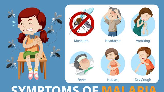Ilustrasi penyakit malaria