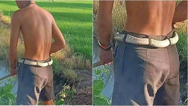 6 Potret Nyeleneh Ikat Pinggang Ini Bikin Tepuk Jidat