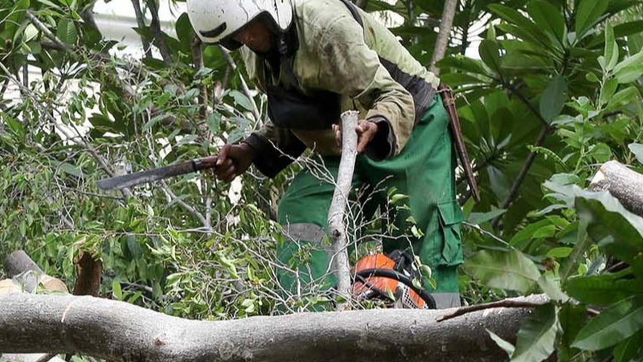 Insiden itu terjadi ketika cuaca di lokasi sedang cerah-cerah saja.