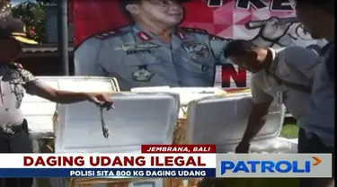 Daging udang ini dibawa menggunakan bus tanpa dilengkapi dokumen.