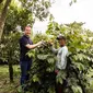 Merayakan Petani Kopi The Cold Crafters atas dedikasi petani menginspirasi The Cold Crafters untuk memberikan pelanggan kopi terbaik dari alam Indonesia