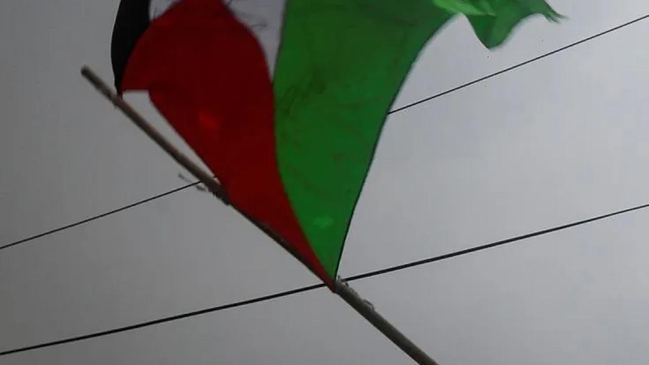 Bayi Tak Bersalah Jadi Korban Israel di Gaza, Siswi SD Sumbang Tabungan 2 Tahun untuk Palestina
