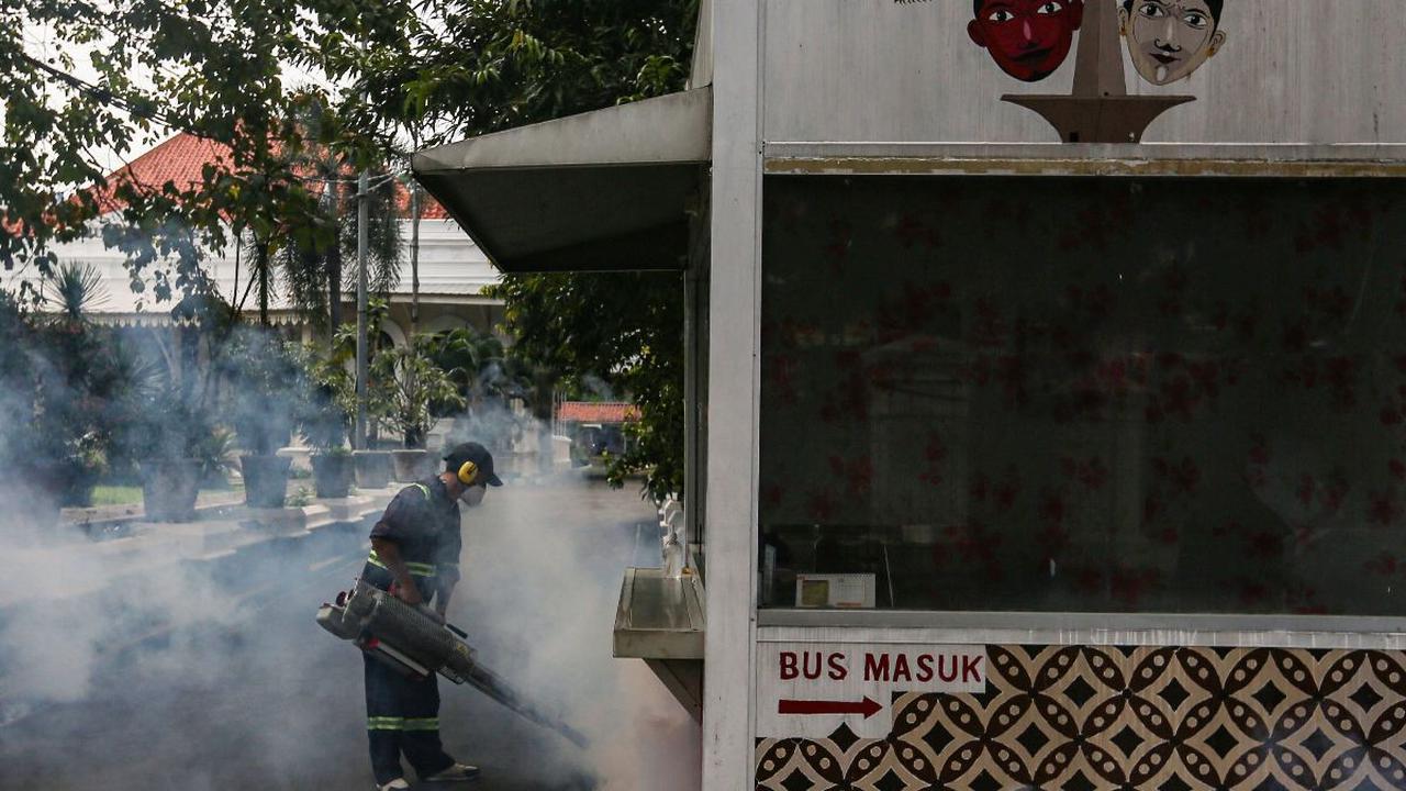 Kasus demam berdarah dengue (DBD) di Indonesia terus mengalami kenaikan.&nbsp;