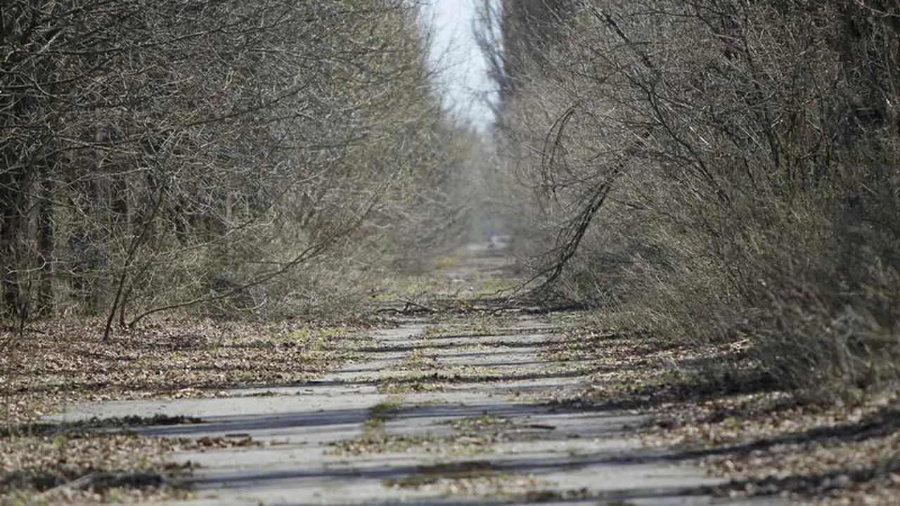 Bencana Chernobyl